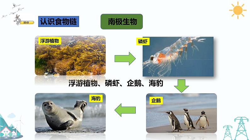 大象版五年级下册科学4.4《食物链》》课件04