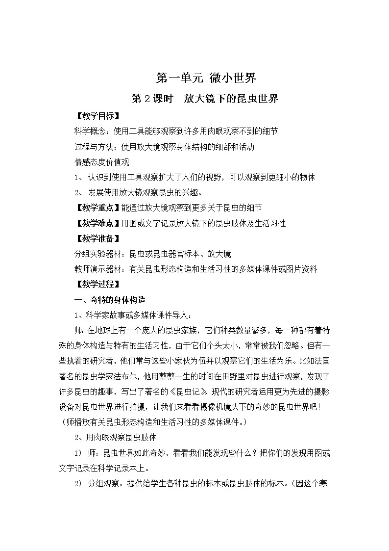 1.2 放大镜下的昆虫世界 课件PPT+教案01