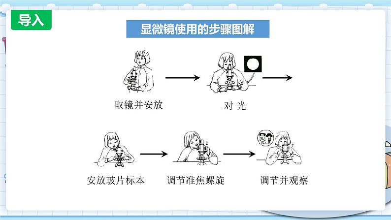 1.6 用显微镜观察身边的生命世界（二） 课件PPT+教案03