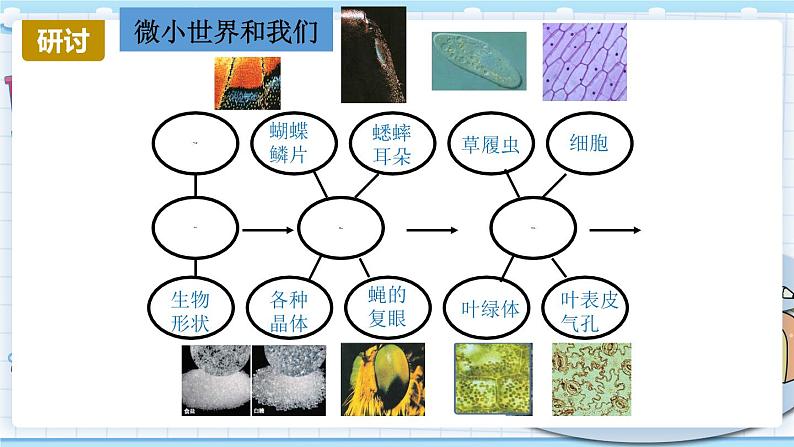 1.8 微小世界和我们 课件PPT+教案08