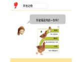 教科版三年级下册科学2.8《动物的一生》教学课件