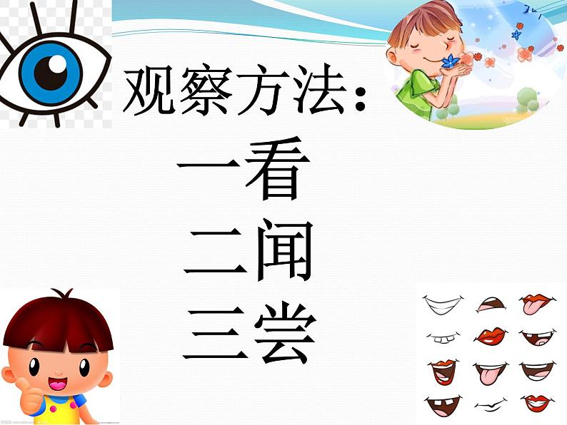 一年级下册科学课件-2.4 水是什么样的8-苏教版   13张第4页