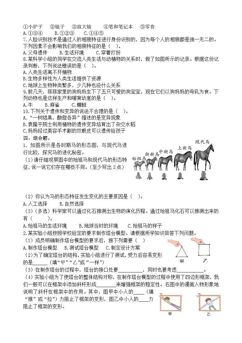 教科版科学六年级下册期中综合测评卷（五）（含答案）02
