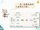 新湘科版五年级下册科学2.7传染病的防控_教学课件