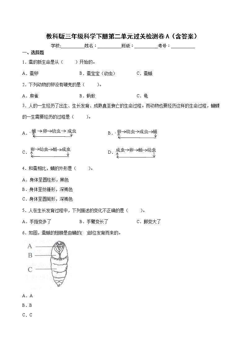 教科版（2017秋）三年级科学下册第二单元动物的一生过关检测卷A（含答案）01