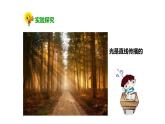 教科版科学五年级上册 第二单元 光  2.3 光是怎样传播的  教学PPT课件