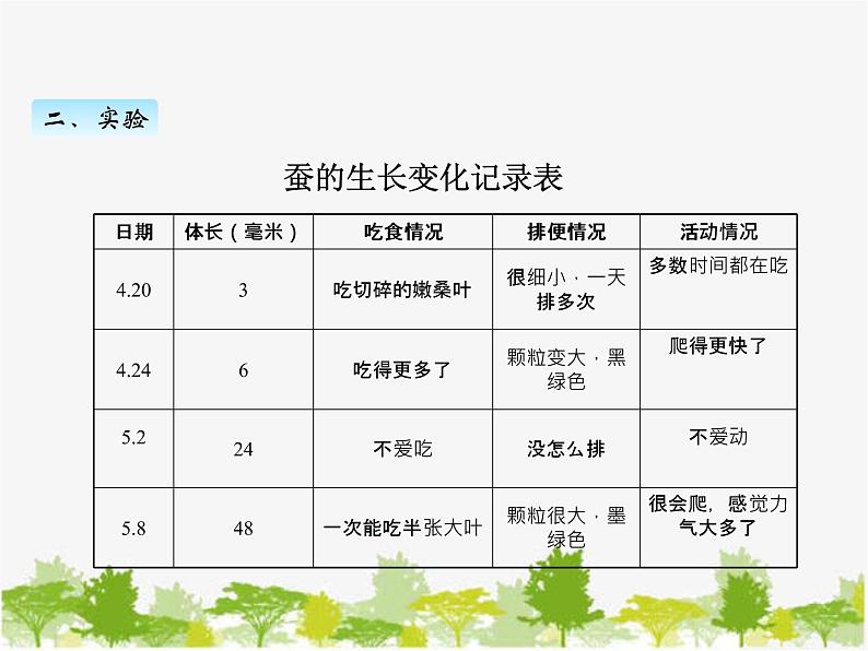 教科版三年级下学期科学3蚕长大了课件第5页