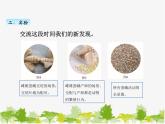 教科版三年级下学期科学5茧中钻出了蚕蛾课件