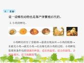 教科版三年级下学期科学7动物的繁殖课件