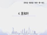 教科版四年级下学期科学4茎和叶课件