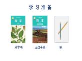 教科版四年级下学期科学4茎和叶课件