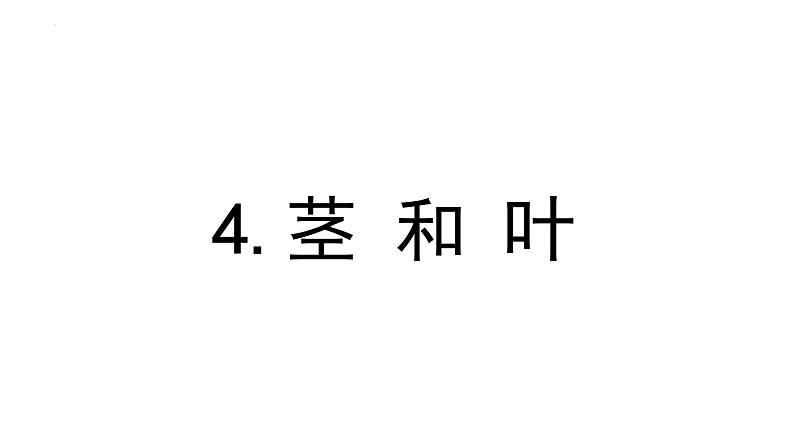 教科版四年级下学期科学4茎和叶课件04