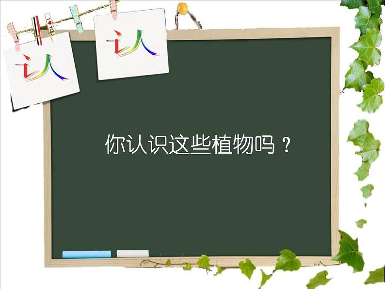 一年级下册科学课件-4.11 多姿多彩的植物8-苏教版   29张第2页