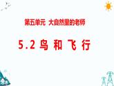 新大象版五年级下册科学5.2  鸟和飞机 （课件+习题）