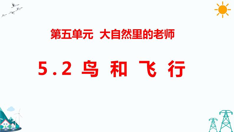 5.2  鸟和飞行 教学课件第1页