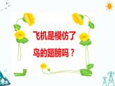 新大象版五年级下册科学5.2  鸟和飞机 （课件+习题）