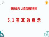 新大象版五年级下册 5.1 苍耳的启示 （课件PPT+习题）