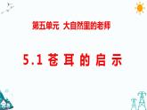 新大象版五年级下册 5.1 苍耳的启示 （课件PPT+习题）