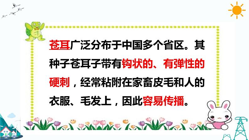 新大象版五年级下册 5.1 苍耳的启示 （课件PPT+习题）03