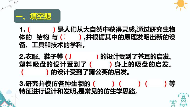 2022春大象版五年级下册科学5.1《苍耳的启示》（课件+习题）02