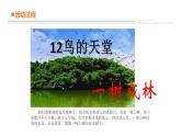 16.不同環(huán)境中的植物課件PPT