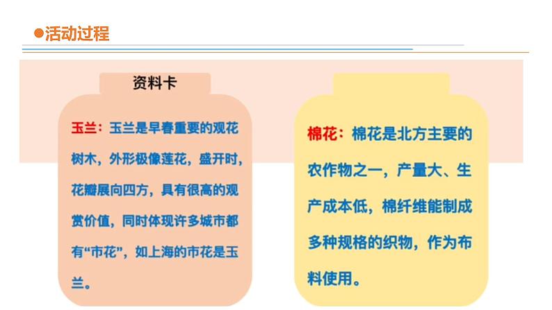 17调查家乡植物 课件PPT第8页