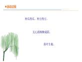 15.植物的“分身術”課件PPT
