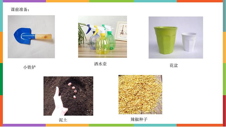 14.《种辣椒》课件01