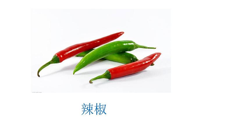 14.《种辣椒》课件05
