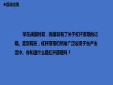 14.《杠杆》（课件）