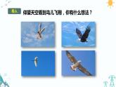 大象版五年级科学下册 5.2 鸟和飞机（课件PPT+习题）