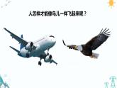 大象版五年级科学下册 5.2 鸟和飞机（课件PPT+习题）
