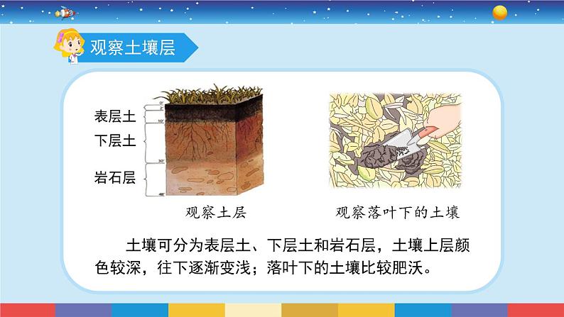 苏教版三上科学2.6《肥沃的土壤》课件+同步练习03
