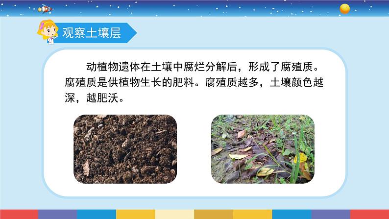 苏教版三上科学2.6《肥沃的土壤》课件+同步练习04
