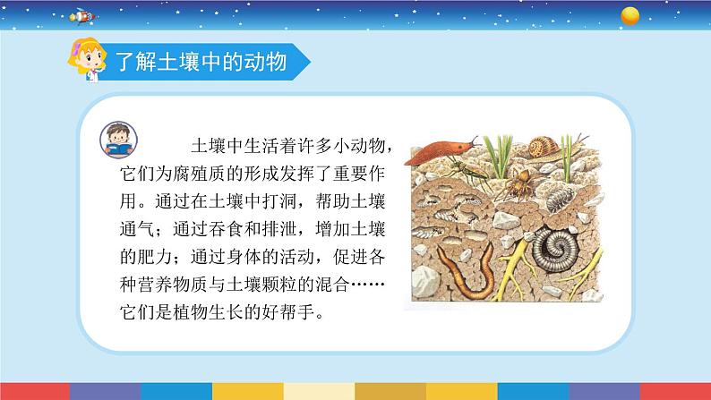 苏教版三上科学2.6《肥沃的土壤》课件+同步练习05