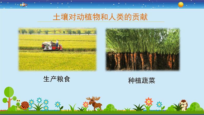 苏教版三上科学2.7《保护土壤》课件+同步练习05