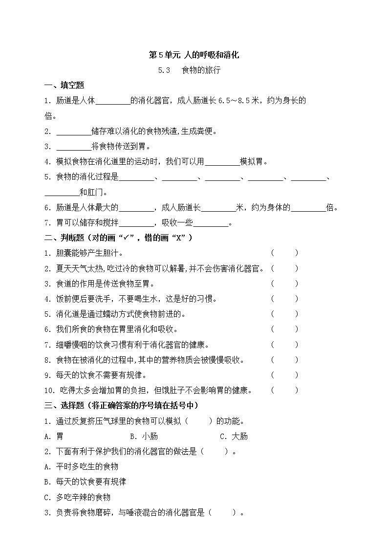 苏教版三上科学5.18《食物的旅行》课件+同步练习01