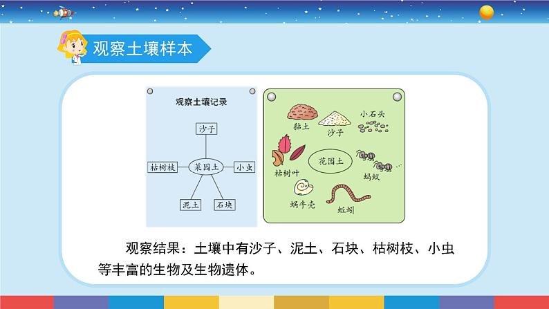 苏教版三上科学2.4《土壤的成分》课件+同步练习05