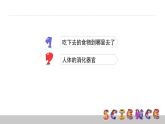 教科版科學(xué)四年級(jí)上冊(cè)第四單元 《我們的身體》4.4 食物在體內(nèi)的旅行 PPT教學(xué)課件