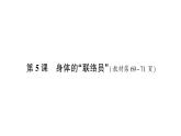 教科版(2017)科学五年级上册第5课身体的“联络员”作业课件