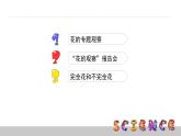教科版科学四年级下册第二单元  新的生命 2.2 各种各样的花  备课PPT课件