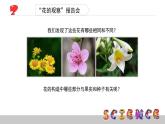 教科版科学四年级下册第二单元  新的生命 2.2 各种各样的花  备课PPT课件