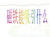 1-1.磁铁能吸引什么（教科版科学二年级下册课件）