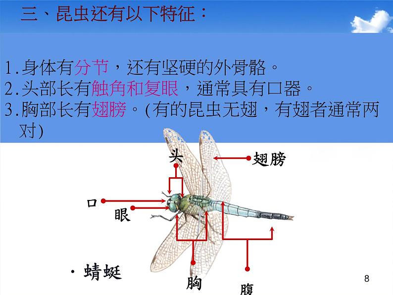 苏教版四年级下册科学9《庞大的家族》课件PPT第8页