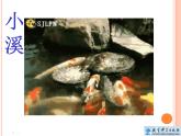 小學(xué)科學(xué)教科版一年級(jí)下冊(cè) 5觀察魚 課件