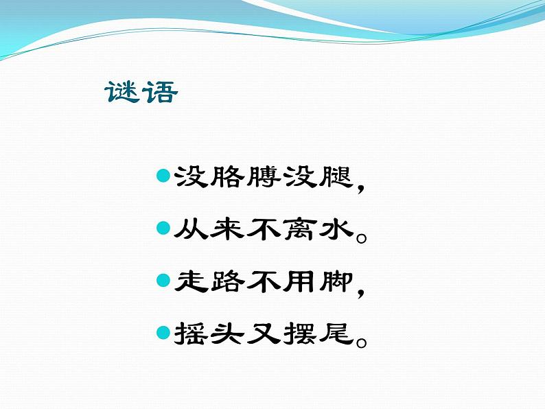 小学科学教科版一年级下册 5观察鱼 1 课件02