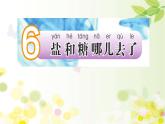 小学科学苏教版一年级下册 6盐和糖哪儿去了 课件