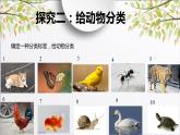 小學科學教科版一年級下冊 6給動物分類 課件