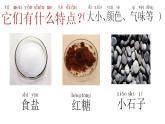 小學(xué)科學(xué)教科版一年級下冊 6它們?nèi)ツ睦锪?4 課件
