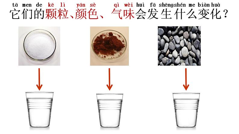 小学科学教科版一年级下册 6它们去哪里了 4 课件05